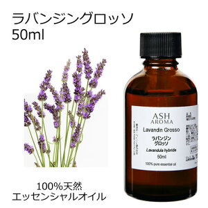 oW Ob\ 50ml A}IC GbZVIC  VR100% AR i AEAJF x_[z t[n  A}es[ A}}bT[W A}Xv[ 