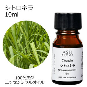 シトロネラ 10ml アロマオイル エッセンシャルオイル 精油 天然100% 植物由来 高品質 AEAJ認定 コウスイガヤ 柑橘系 香り アロマテラピー アロママッサージ アロマスプレー 芳香浴 フットバス