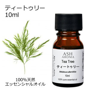 ティートゥリー 10ml アロマオイル エッセンシャルオイル 精油 天然100% 植物由来 高品質 AEAJ認定 ティートリー ティーツリー ウッド系 樹木系 香り アロマテラピー アロマスプレー フットバス
