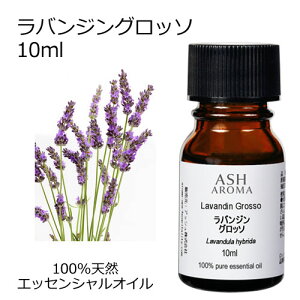 oW Ob\ 10ml A}IC GbZVIC  VR100% AR i AEAJF x_[z t[n  A}es[ A}}bT[W A}Xv[ 