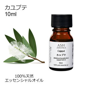 Jve 10ml A}IC GbZVIC  VR100% AR i AEAJF zCgeB[g[ Ebhn ،n  A}es[ A}}bT[W A}oX F AS