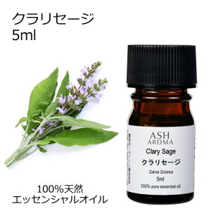 NZ[W 5ml A}IC GbZVIC  VR100% AR i AEAJF IjTrA n[un  A}es[ A}}bT[W A}Xv[ A}oX F