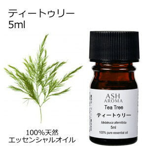 ティートゥリー 5ml アロマオイル エッセンシャルオイル 精油 天然100% 植物由来 高品質 AEAJ認定 ティートリー ティーツリー ウッド系 樹木系 香り アロマテラピー アロマスプレー フットバス