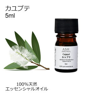 Jve 5ml A}IC GbZVIC  VR100% AR i AEAJF zCgeB[g[ Ebhn ،n  A}es[ A}}bT[W A}oX F 