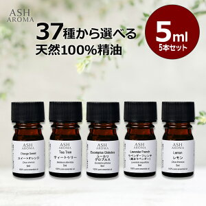 yő10OFFN[|Iz A}IC Iׂ 5ml×5{ Zbg  GbZVIC VR100 ASH AROMA