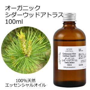 I[KjbN V_[EbhAgX GbZVIC 100ml GbZVIC A}IC  A}