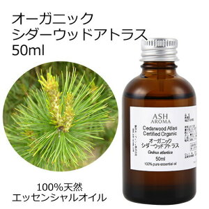 I[KjbN V_[EbhAgX GbZVIC 50ml GbZVIC A}IC  A}