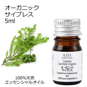 yyVX[p[SALE 10OFFz I[KjbN TCvX GbZVIC 5ml GbZVIC A}IC  A}