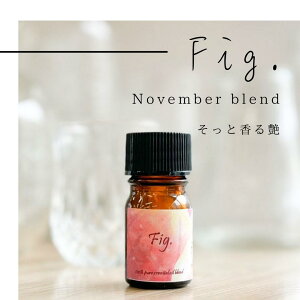 y11ʊz Fig GbZVIC uh 5ml Ռr hbp[t Ԍ ASH AROMA