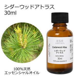 V_[Ebh AgX 30ml A}IC GbZVIC  VR100% AR i AEAJF AgX Ebhn ،n  A}es[ A}}bT[W A}oX F