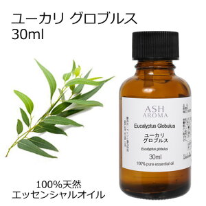 [J OuX 30ml A}IC GbZVIC  VR100% AR i AEAJF Ebhn ،n  A}es[ A}Xv[ }XNXv[ F Cz A