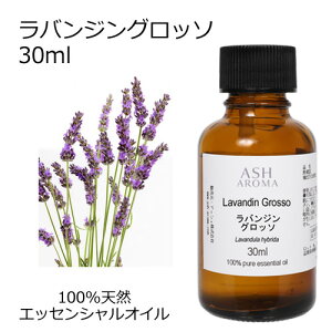 y9/25IXSi|Cg5{Iz oW Ob\ 30ml A}IC GbZVIC  VR100% AR i AEAJF x_[z t[n  A}es