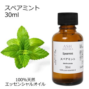 XyA~g 30ml A}IC GbZVIC  VR100% AR i AEAJF ~hnbJ n[un  A}es[ A}}bT[W A}Xv[ A}oX F