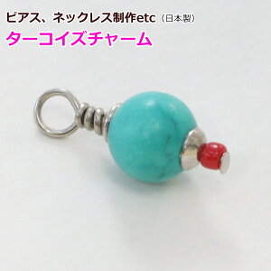 1 XeX `[ ^[RCY {  VR ANZT[p[c  ≮