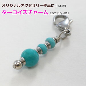 1 XeX `[ JjJt ^[RCY {  VR ANZT[p[c  ≮