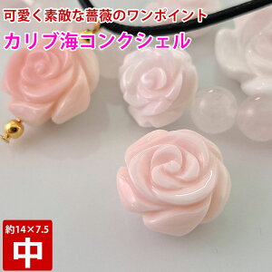 JuC sNRNVF KN  14mm×7.5mm  nhJ[rO  o p[Xg[ VR r[Y uXbg  ≮