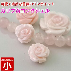 JuC sNRNVF KN  12mm×6.5mm  nhJ[rO  o p[Xg[ VR r[Y uXbg  ≮