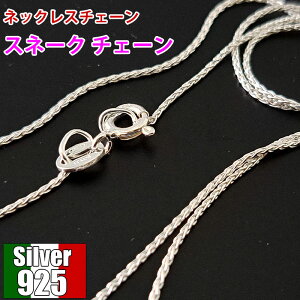 Vo[925 lbNX`F[ Xl[N^ silver925 C^A 40cm  lbNX ANZT[p[c IWiWG[