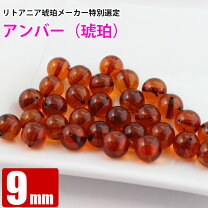 楽天市場】コニャックアンバーの通販