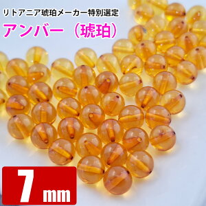 A Ao[ RjbN 7mm VR ogC  o VR p[Xg[ r[Y y  ≮ z