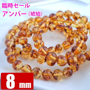 ՎZ[ CG[ Ao[  8mm ogC VR p[Xg[