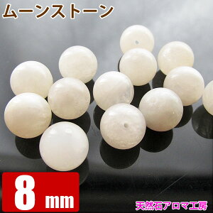 [Xg[y΁z 8mmʁ@ o y  VR p[Xg[ 肢EJ^E [֑Ήz