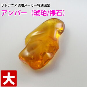 [X ʃAo[ VR ogC   o VR p[Xg[ r[Y y  ≮ z142