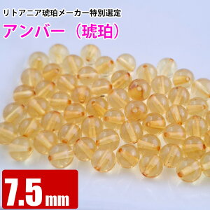 A Ao[ CG[ 7.5mm VR ogC  o VR p[Xg[ r[Y y  ≮ z