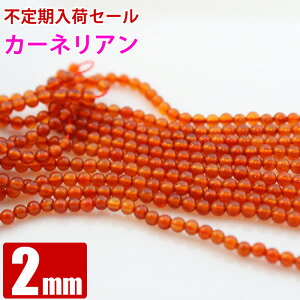 ՎZ[ J[lA 2mm 1A A p[Xg[ ۃr[Y VR r[Y uXbg nhCh ANZT[p[c  ≮