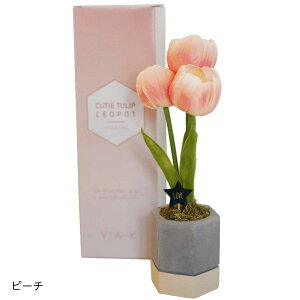  CeA led t[Cg y L[eB[ `[bv |bg z VIA-K sN AWg   EFfBO IW  pXe  e  ֑}  