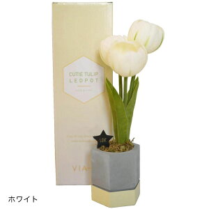 yKiz  CeA led t[Cg y L[eB[ `[bv |bg z VIA-K `[bv u[P ԑ sN AWg  EFfBO IW  pXe