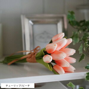 yKiz CeA led t[Cg u[P ԑ sN AWg o   EFfBO  pXe ԕr 傫   j `[bv J