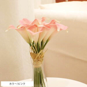 yKiz CeA led t[Cg u[P ԑ sN AWg o   EFfBO  pXe ԕr 傫   j `[bv J