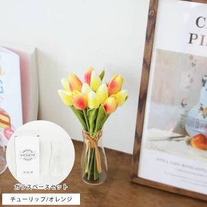 yKizVIA K studio  CeA led t[Cg u[P ԑ sNyt[u[PzAWg   EFfBO IW  pXe ԕr 傫  v