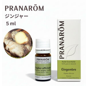 ysAizvi WW[ 5m  I[KjbN A}IC GbZVIC VR100% bNX tbV A}  PRANAROM 