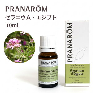 ysAizvi [jEGWvg 10ml PRANAROM  GbZVIC A}IC A}es[ I[KjbN 