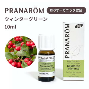 ysAizvi EC^[O[ 10ml  BIO I[KjbN A}IC GbZVIC VR100% bNX tbV A}  PRANAROM 