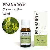 《ポイント2倍 〜9/24(木)1:59まで》 【並行輸入品】プラナロム ティートリー 10ml PRANAROM 精油 ティー…