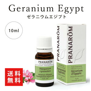 ysAizvi [jEGWvg 10ml PRANAROM  GbZVIC A}IC A}es[ I[KjbN 