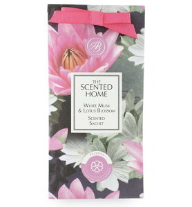 AVCo[Ebh TVF v[g N[[bg  gC bJ[  F [tOX  