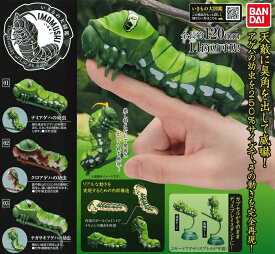 楽天市場 いもむしの通販