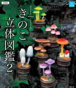 y1Ĕ̗\z ̂̐}2 yS6Zbgz