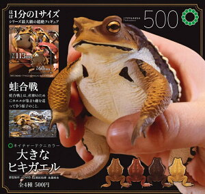 y2Ĕ̗\z NTC 傫ȃqLKG yS4Zbgz