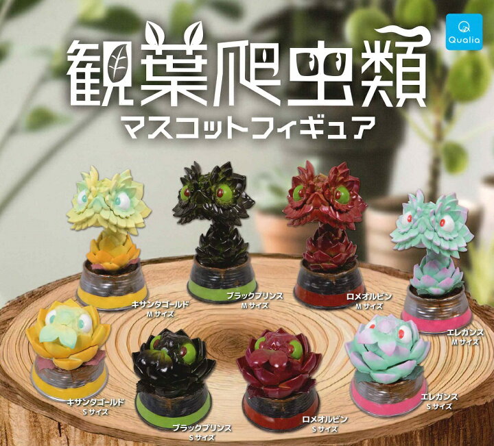 楽天市場】観葉爬虫類 マスコットフィギュア 【各種】 : A-TOYS 楽天市場店
