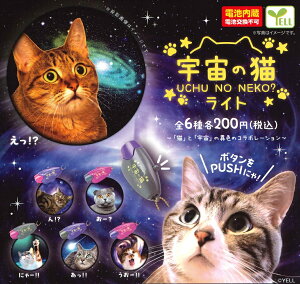 y3Ĕ̗\z F̔LCg yS6Zbgz