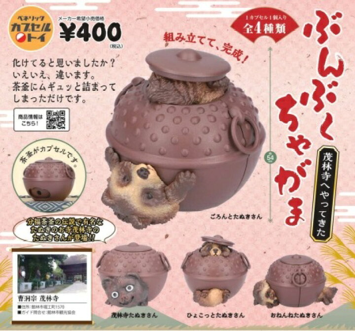 楽天市場】【5月発売予定】 ぶんぶくちゃがま 茂林寺へやってきた 【全 