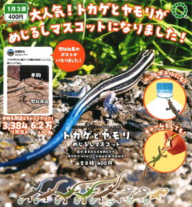 【1月発売予定】 NTC MOMO+ トカゲとヤモリ めじるしマスコット 【全8種セット】 ※仮予約※