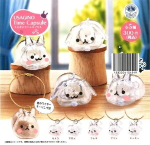 【1月発売予定】 うさぎのタイムカプセル 【全5種セット】 ※仮予約※