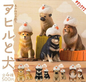 y1Ĕ̗\z ˂̖ؒ Aqƌ yS4Zbgz