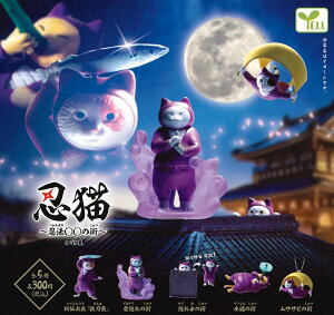 EL `E@iɂۂjZZ̏p` yS5Zbgz